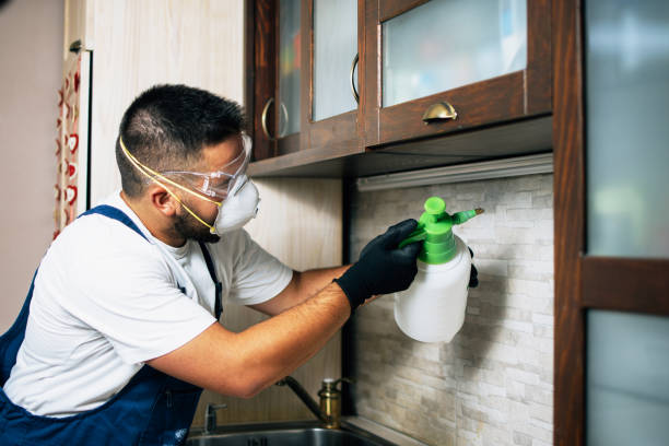 Flea Control Services in Litchfield Beach, SC