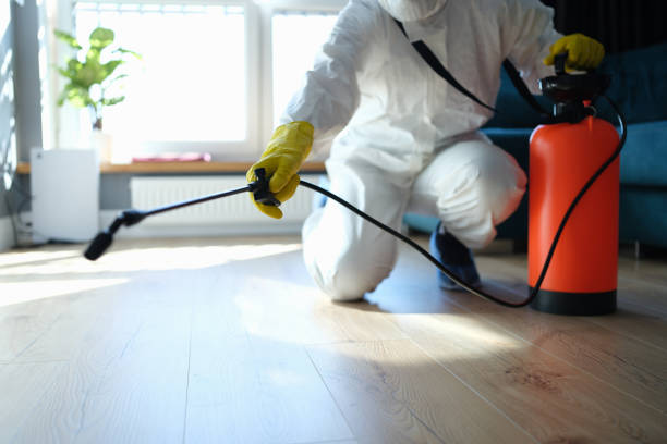 Wildlife Control Services in Litchfield Beach, SC