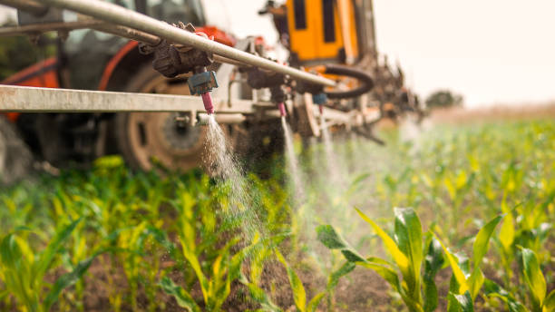 Best Mosquito Control Services  in Litchfield Beach, SC