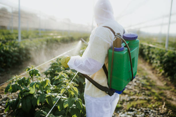 Best Wasp Removal Services  in Litchfield Beach, SC